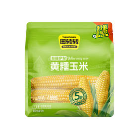 800g田转转新疆伊犁黄糯玉米(三支装)