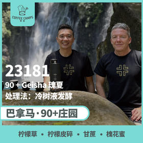 巴拿马 90+ 23181批次 瑰夏 冷树液发酵（生豆）空运批次