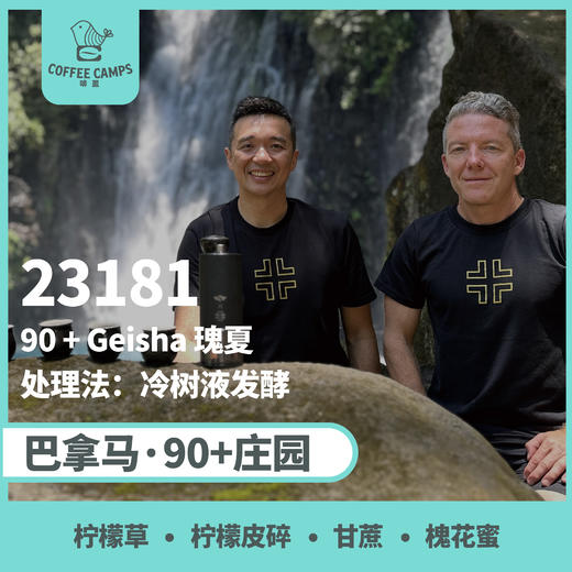 巴拿马 90+ 23181批次 瑰夏 冷树液发酵（生豆）空运批次 商品图0