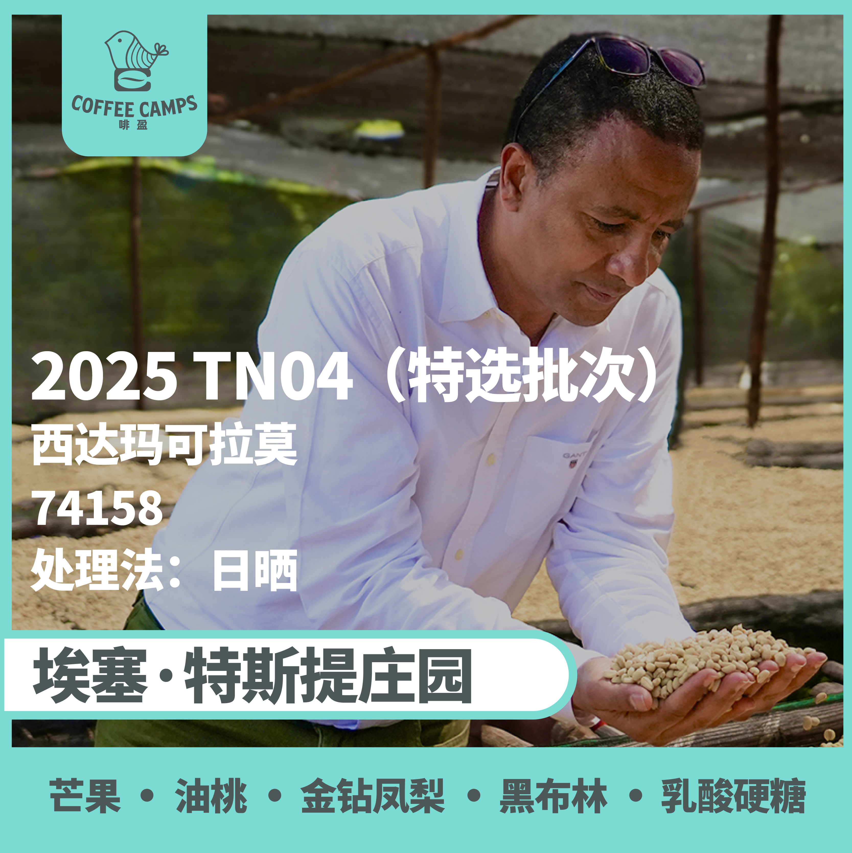 25产季 Testi特选批次 埃塞 特斯提 Testi TN04 日晒（生豆）空运批次