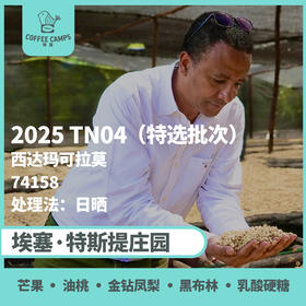 25产季 Testi特选批次 埃塞 特斯提 Testi TN04 日晒（生豆）空运批次