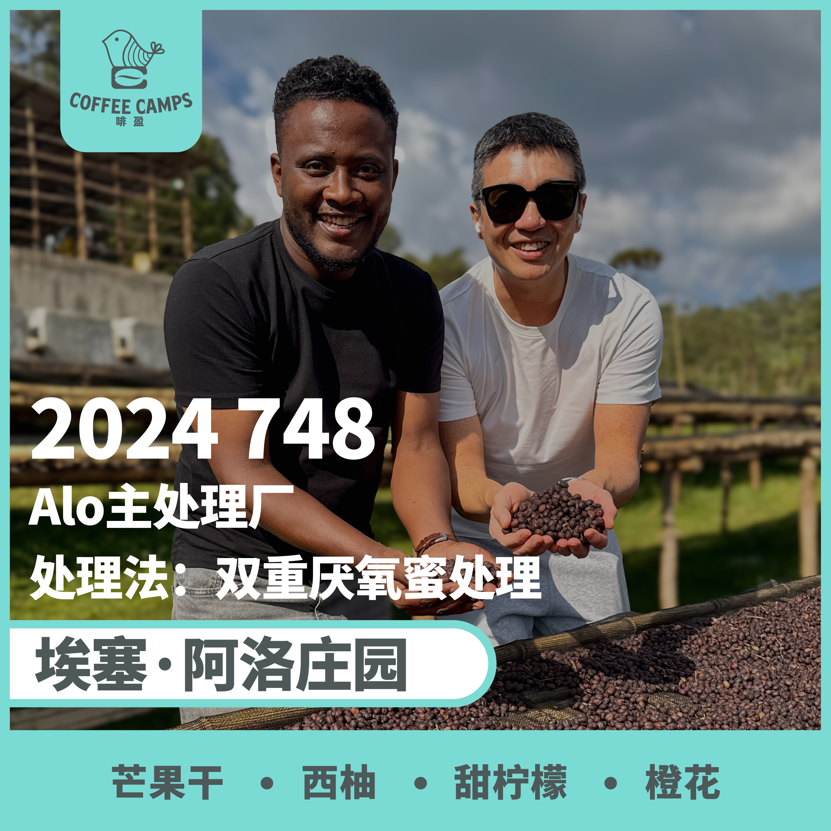 24产季 埃塞 阿洛 Alo 748 双重厌氧蜜处理（生豆）空运批次