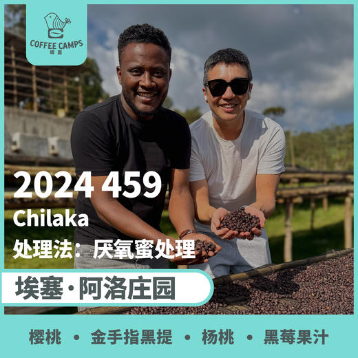 24产季 埃塞 阿洛 Alo 2024 459 厌氧蜜处理（生豆）空运批次 商品图0