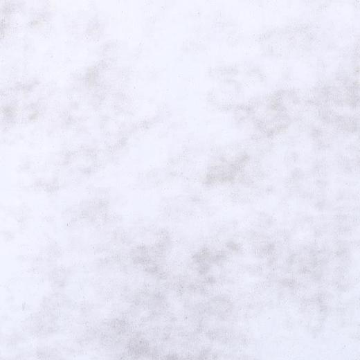 T3606夏季高级感新款男士简约刺绣花卉短袖T恤百搭宽松国潮圆领上衣 商品图3