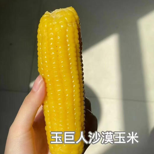 玉巨人 内蒙沙漠种植 玉米🌽 口感好推荐 绿色食品 出口标准 3.7斤袋（39.9/袋） 商品图3