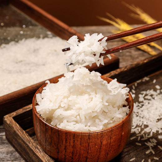 馋满鲜十里稻香香米5kg/袋 商品图1