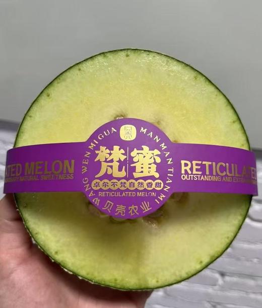 梵蜜网纹瓜（2粒装/6斤左右） 商品图2