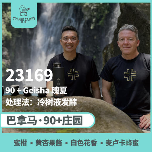 巴拿马 90+ 23169 批次 瑰夏 冷树液发酵（生豆）空运批次 商品图0