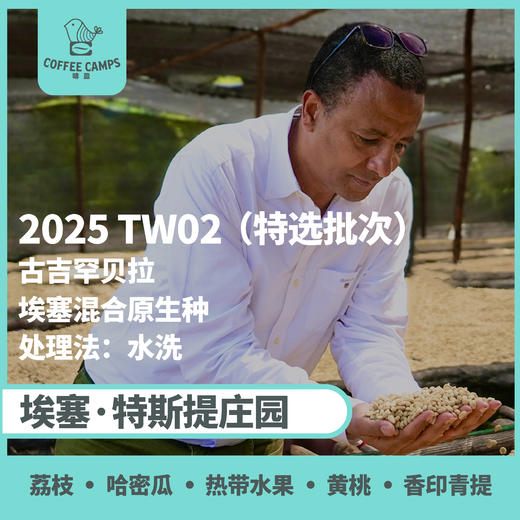 25产季 Testi特选批次埃塞 特斯提 Testi TW02  水洗（生豆）空运批次 商品图0
