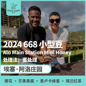 24产季 埃塞 阿洛 Alo 2024 668 蜜处理 小型豆（生豆）