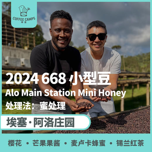 24产季 埃塞 阿洛 Alo 2024 668 蜜处理 小型豆（生豆） 商品图0