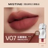 MISTINE/蜜丝婷 泰式奶咖丝绒唇霜2.8g WN 商品缩略图5