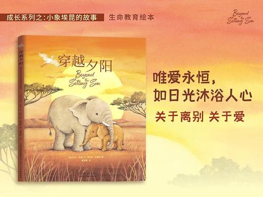 成长系列：穿越夕阳小象埃昆与妈妈的告别之旅离别悲伤接纳成长生命教育绘本关于离别关于爱 商品图1
