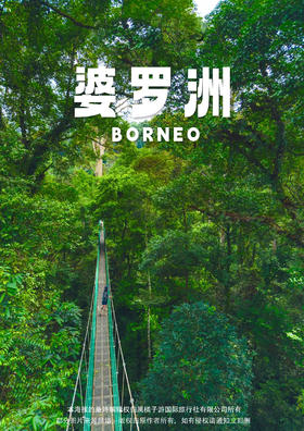 【奇趣雨林·婆罗洲】 6天5晚