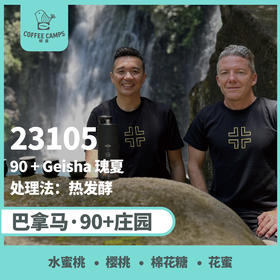 巴拿马 90+ 23105批次 瑰夏 热发酵（生豆）空运批次