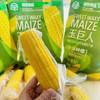 玉巨人 内蒙沙漠种植 玉米🌽 口感好推荐 绿色食品 出口标准 3.7斤袋（39.9/袋） 商品缩略图1