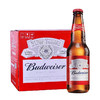 百威啤酒500ml/1瓶/6瓶/12瓶 商品缩略图2