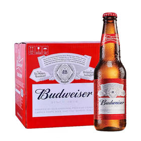【整箱】百威啤酒500ml*12瓶