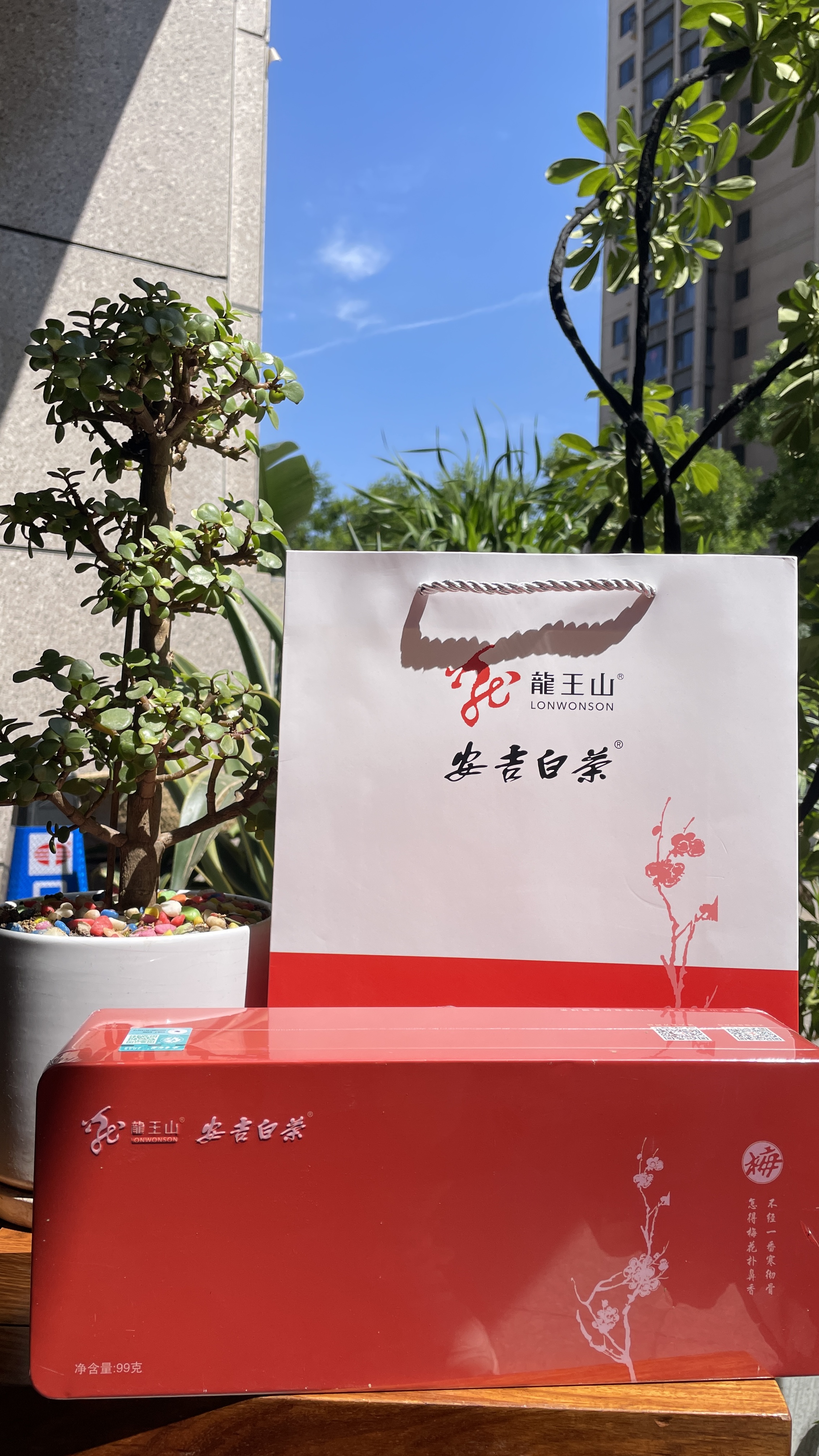 龙王山安吉白茶正宗明前茶礼盒装（梅）红色精品茶叶100g