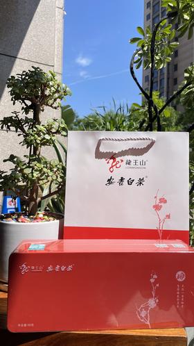 龙王山安吉白茶正宗明前茶礼盒装（梅）红色精品茶叶100g