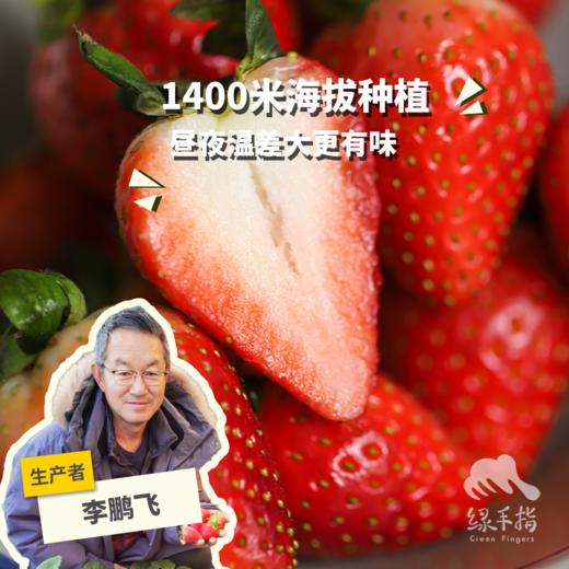 生态河北草莓 |合作生产 * Ecological strawberry | Coproduction 商品图0