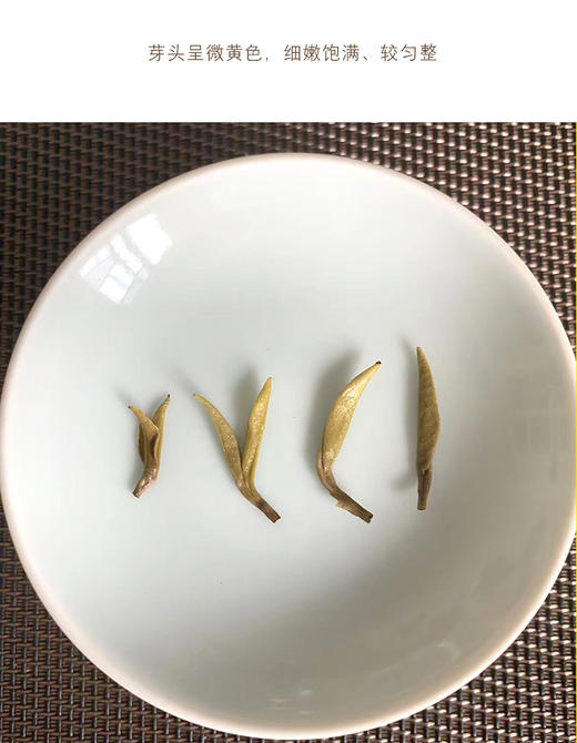 黄茶 | 西蜀茶缘 【2025年新茶】 蒙顶山核心产区 蒙顶黄芽黄芽品鉴装 30g 商品图5