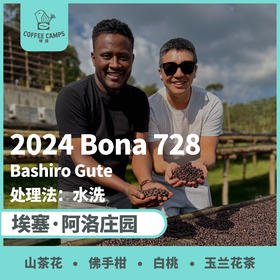 24产季 埃塞 阿洛 Alo Bona 728 水洗（生豆）空运批次