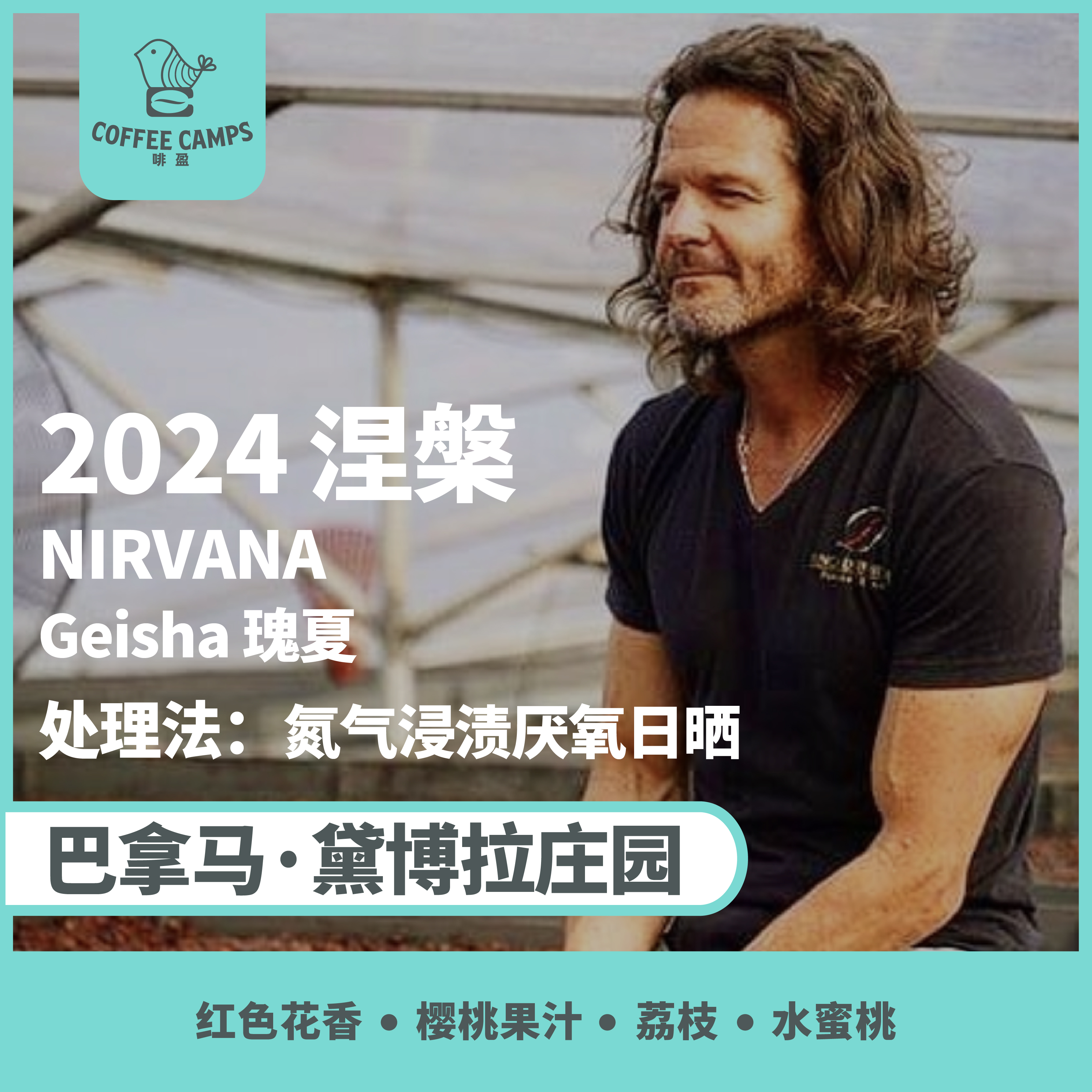 24产季 巴拿马 黛博拉 Finca Deborah 涅槃 NIRVANA 瑰夏 氮气浸渍厌氧日晒（生豆）空运批次