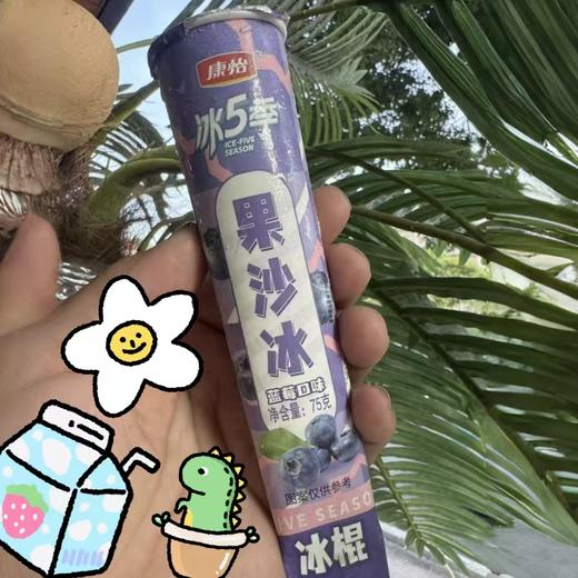 康怡果沙冰（蓝莓）75g 商品图0