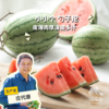 有机西瓜   | 合作生产 *Organic Watermelon| Coproduction 商品缩略图0