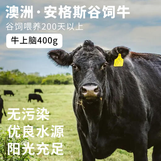 澳洲安格斯上脑边牛排（丹佛牛排）400g 商品图5