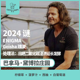 24产季 巴拿马 黛博拉 Finca Deborah 谜 ENIGMA 瑰夏 日晒二氧化碳浸渍延长发酵（生豆）空运批次