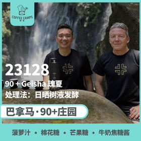 巴拿马 90+ 23128批次 瑰夏 日晒树液发酵（生豆）空运批次