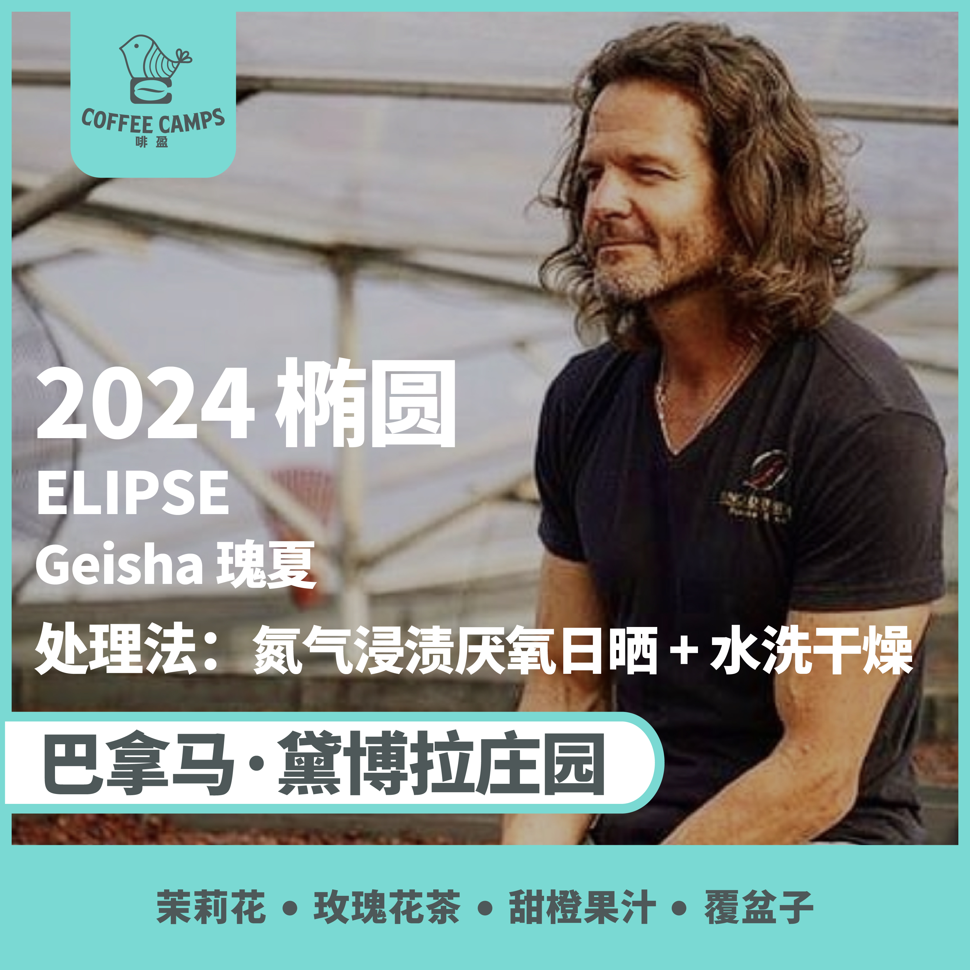 24产季 巴拿马 黛博拉 Finca Deborah 椭圆 ELIPSE 瑰夏 氮气浸渍厌氧日晒 + 水洗干燥（生豆）空运批次