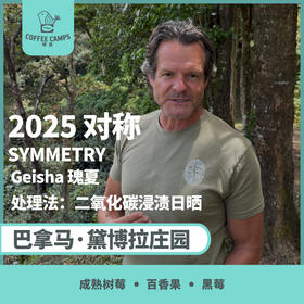 25产季 巴拿马 黛博拉 Finca Deborah 对称 SYMMETRY 瑰夏 二氧化碳浸渍日晒（生豆）空运批次