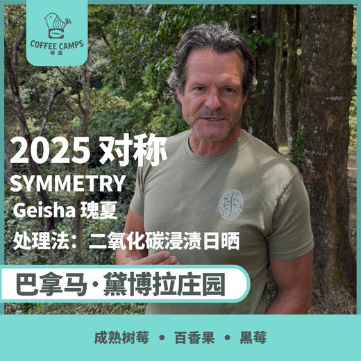 25产季 巴拿马 黛博拉 Finca Deborah 对称 SYMMETRY 瑰夏 二氧化碳浸渍日晒（生豆）空运批次 商品图0