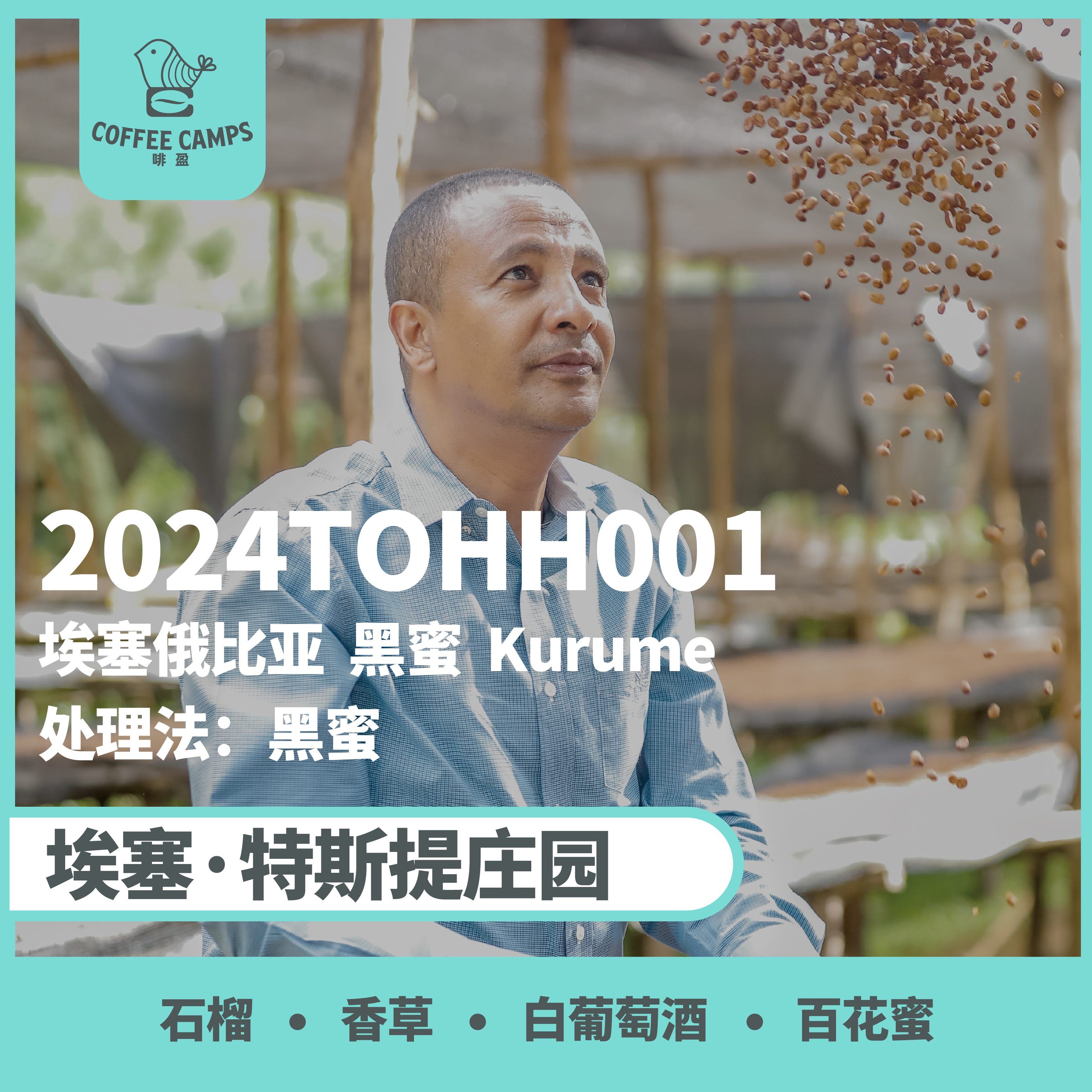 24产季 埃塞 2024TOHH001 黑蜜（生豆）空运批次