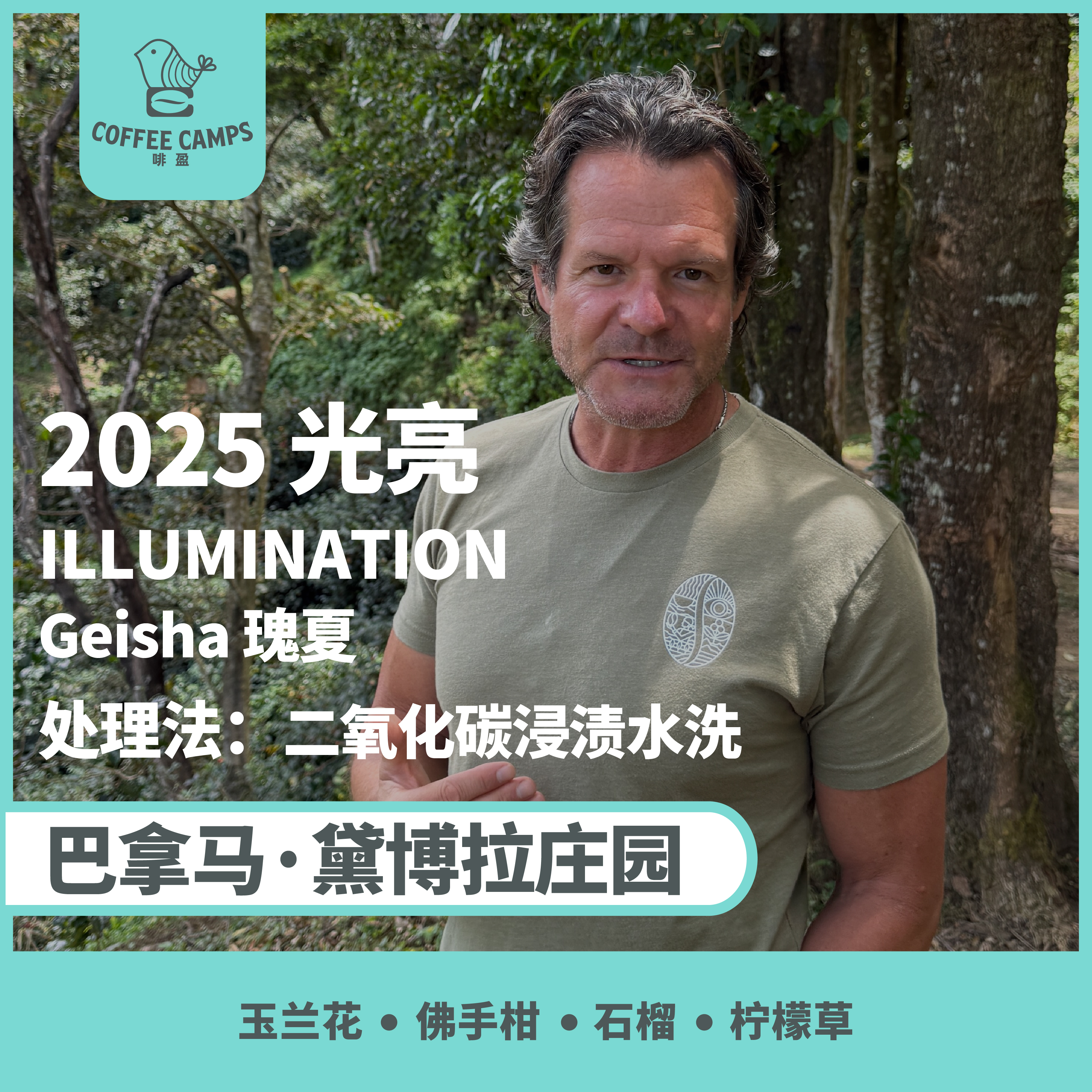 25产季 巴拿马 黛博拉 Finca Deborah 光亮 ILLUMINATION 瑰夏 二氧化碳浸渍水洗（生豆）空运批次