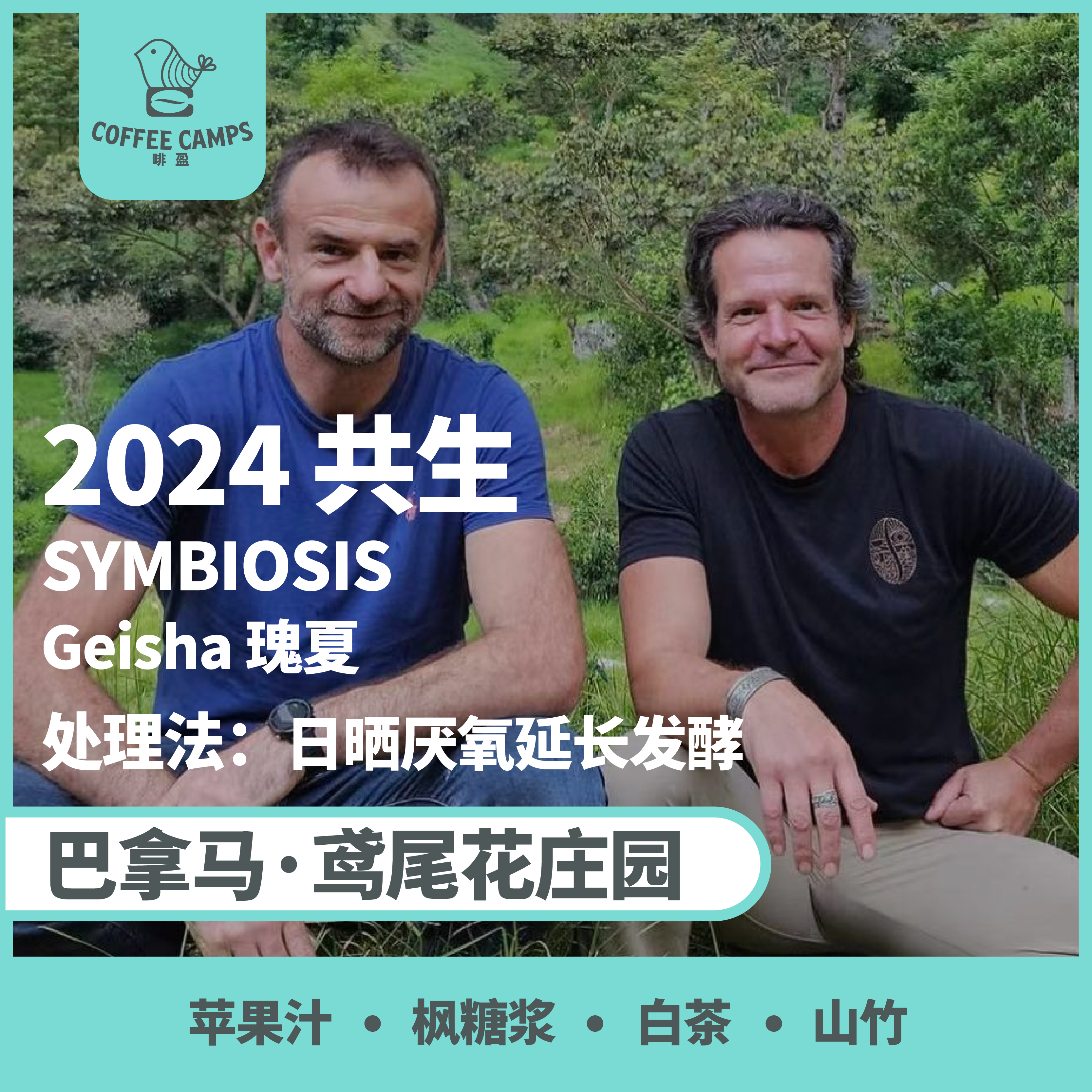 24产季 巴拿马 鸢尾花 Iris 共生 SYMBIOSIS 瑰夏 日晒厌氧延长发酵（生豆）空运批次