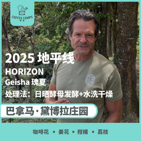 25产季 巴拿马 黛博拉 Finca Deborah 地平线 HORIZON 瑰夏 日晒酵母发酵 + 水洗干燥（生豆）空运批次