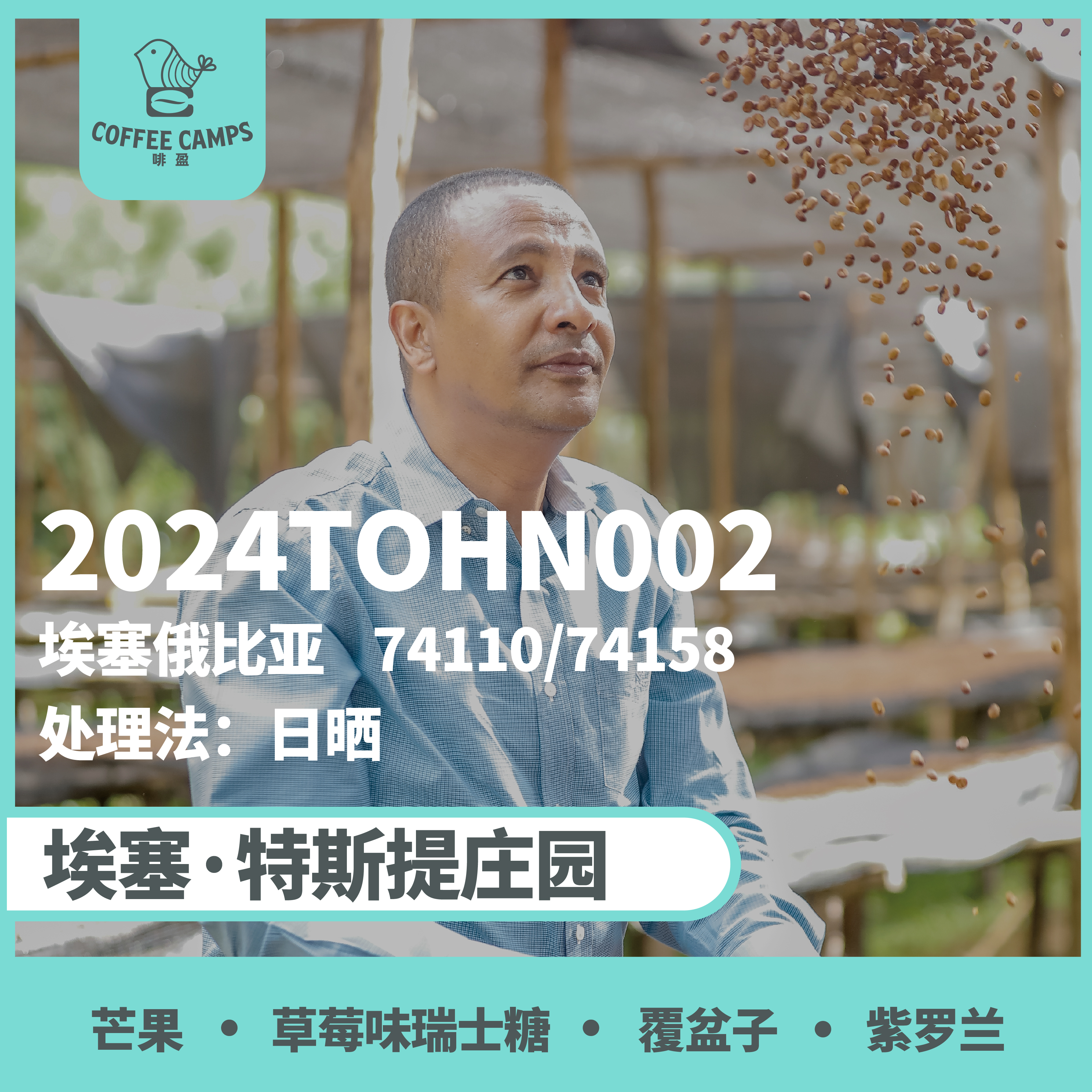 24产季 埃塞 2024TOHN002 日晒（生豆）空运批次