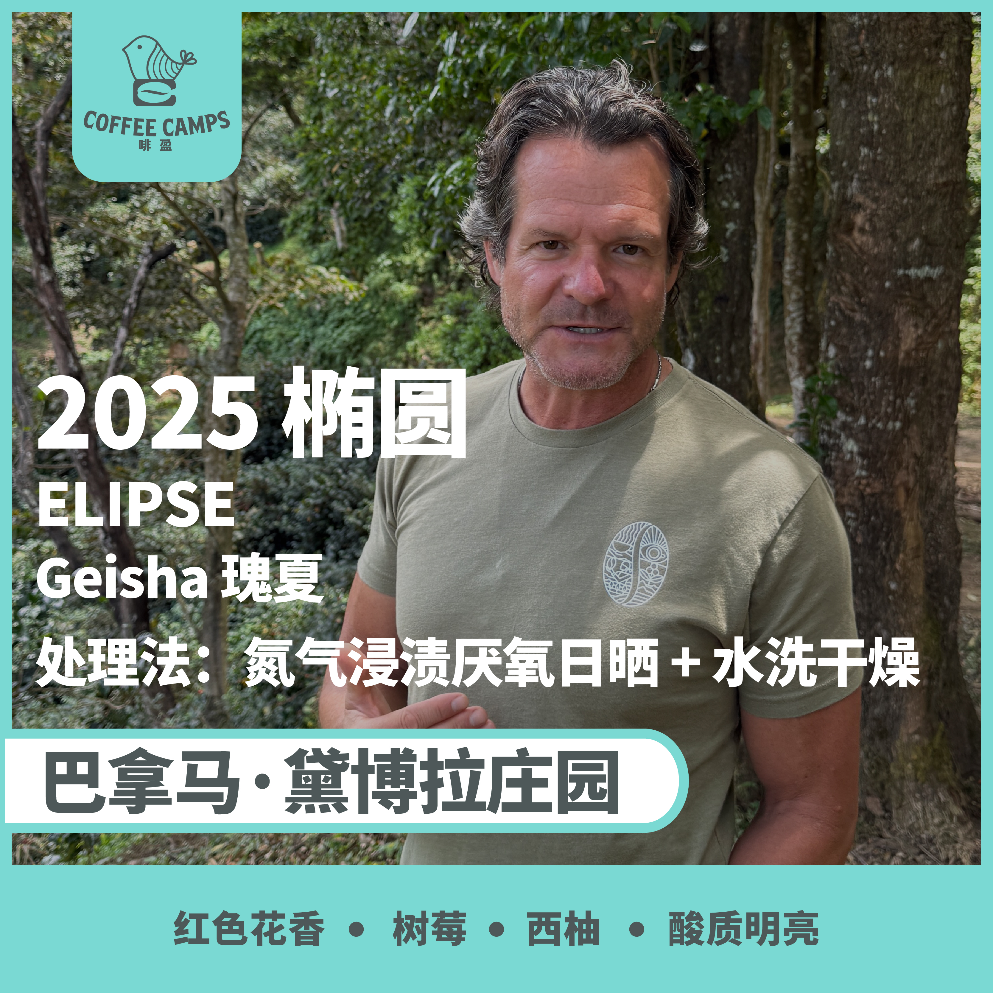 25产季 巴拿马 黛博拉 Finca Deborah 椭圆 ELIPSE 瑰夏 氮气浸渍厌氧日晒 + 水洗干燥（生豆）空运批次