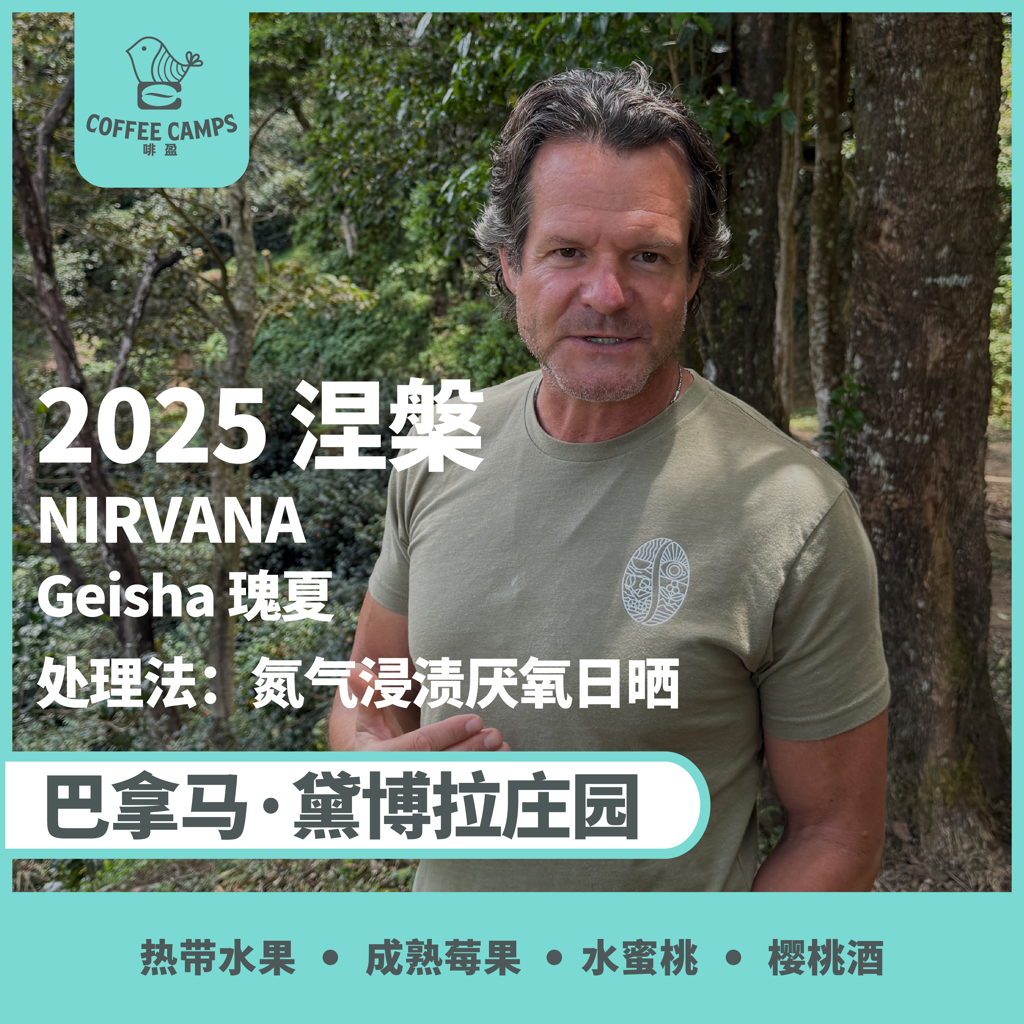 25产季 巴拿马 黛博拉 Finca Deborah 涅槃 NIRVANA 瑰夏 氮气浸渍厌氧日晒（生豆）空运批次