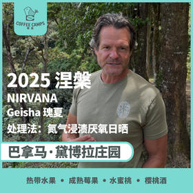 25产季 巴拿马 黛博拉 Finca Deborah 涅槃 NIRVANA 瑰夏 氮气浸渍厌氧日晒（生豆）空运批次