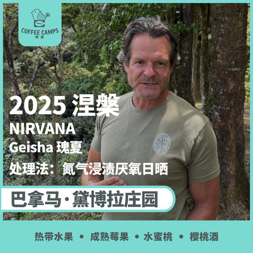 25产季 巴拿马 黛博拉 Finca Deborah 涅槃 NIRVANA 瑰夏 氮气浸渍厌氧日晒（生豆）空运批次 商品图0