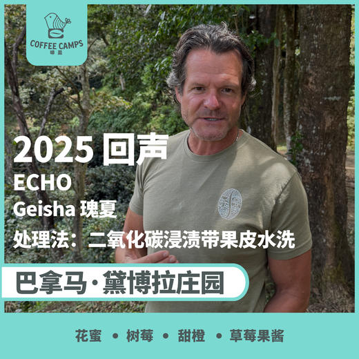 25产季 巴拿马 黛博拉 Finca Deborah 回声 ECHO 瑰夏 二氧化碳浸渍带果皮水洗（生豆）空运批次 商品图0