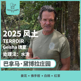 25产季 巴拿马 黛博拉 Finca Deborah 风土 TERROIR 瑰夏 水洗（生豆）空运批次