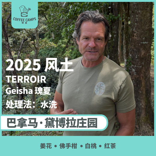 25产季 巴拿马 黛博拉 Finca Deborah 风土 TERROIR 瑰夏 水洗（生豆）空运批次 商品图0