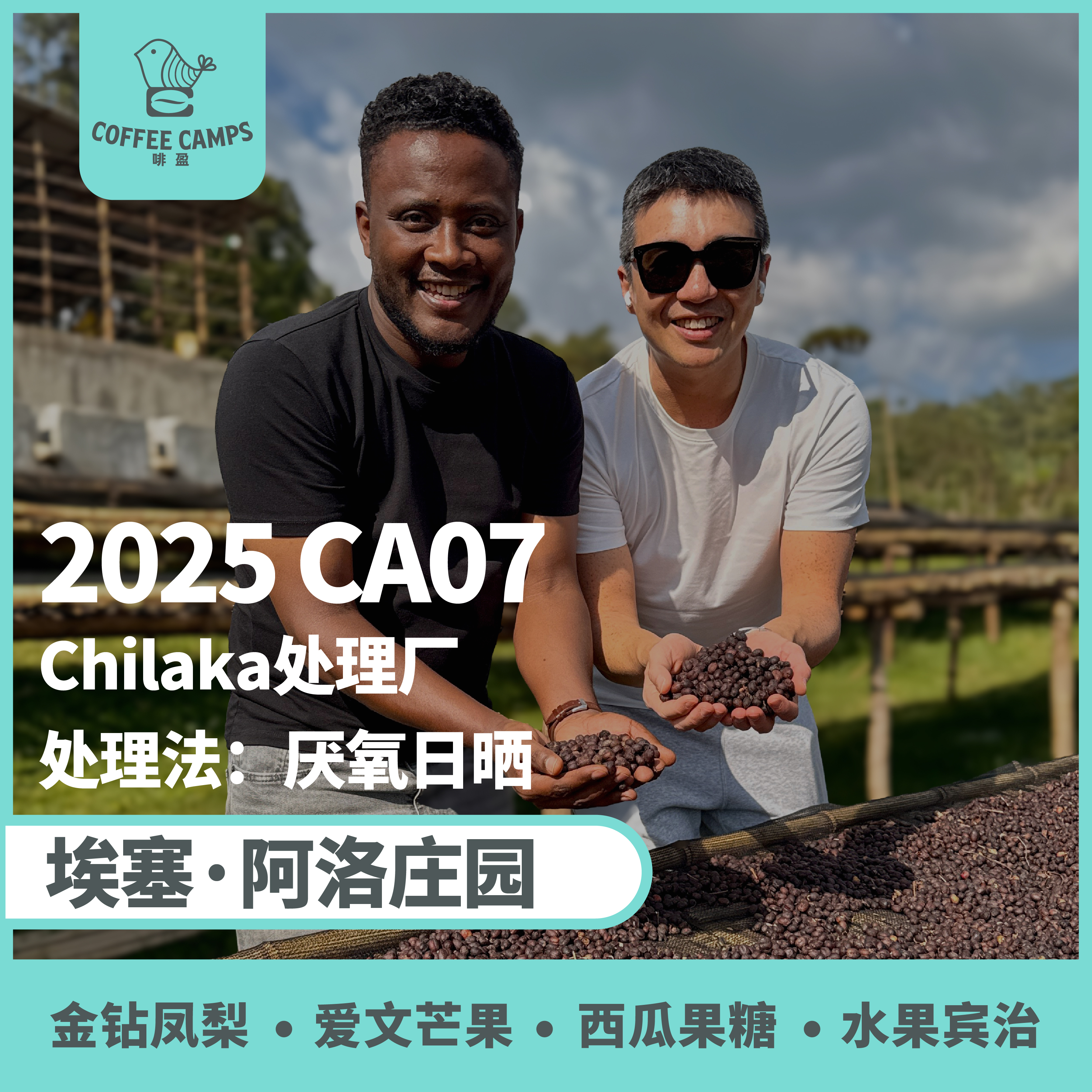 25产季 埃塞 阿洛 Alo CA07 厌氧日晒 （生豆）空运批次