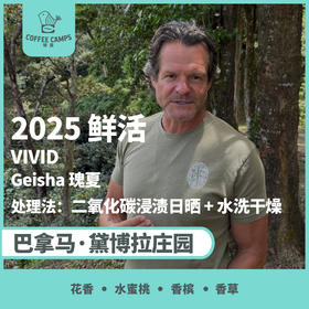25产季 巴拿马 黛博拉 Finca Deborah 鲜活 VIVID 瑰夏 二氧化碳浸渍日晒 + 水洗干燥（生豆）空运批次